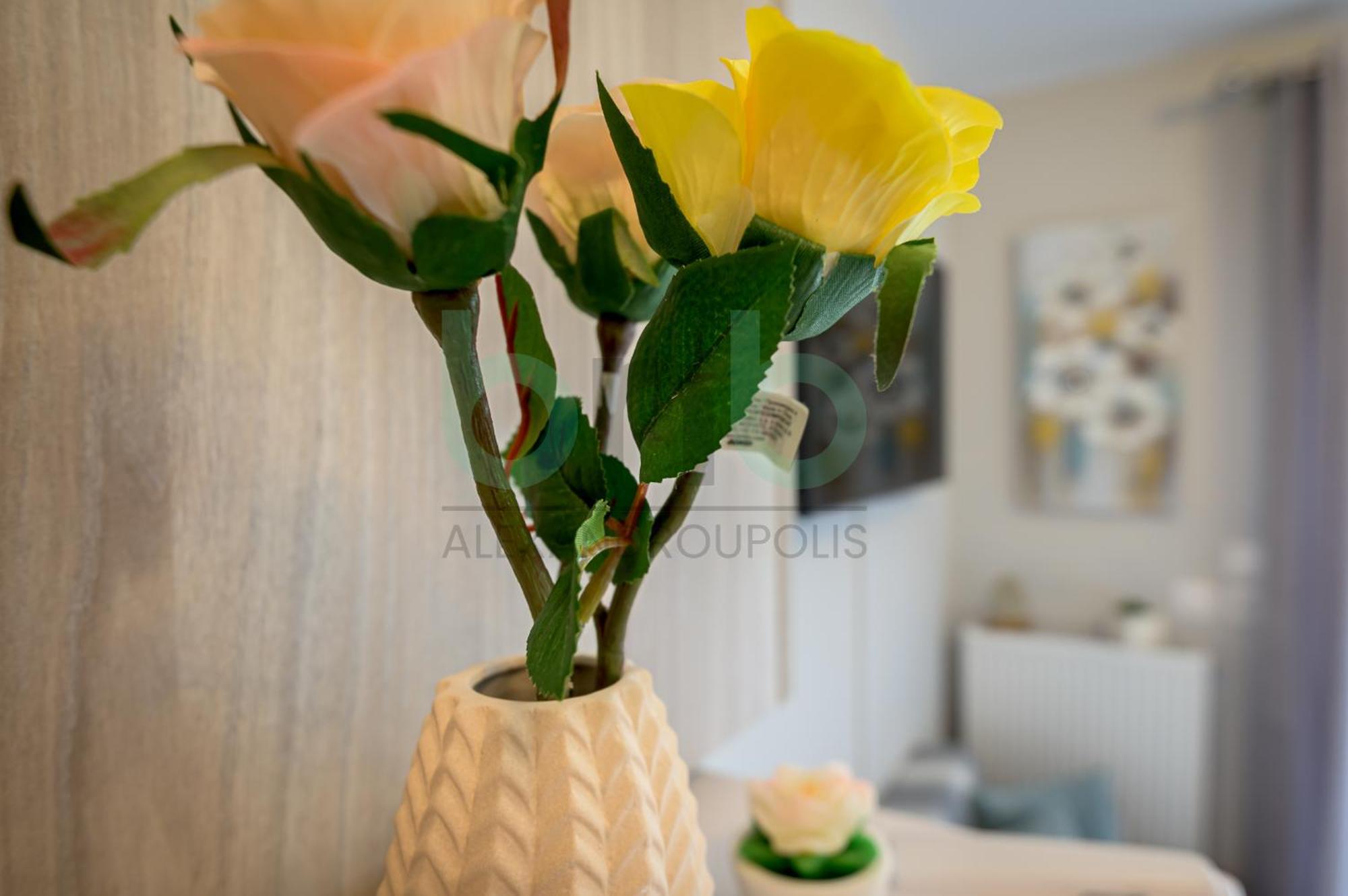 Anastasia'S Comfort Studio Dedeağaç Dış mekan fotoğraf