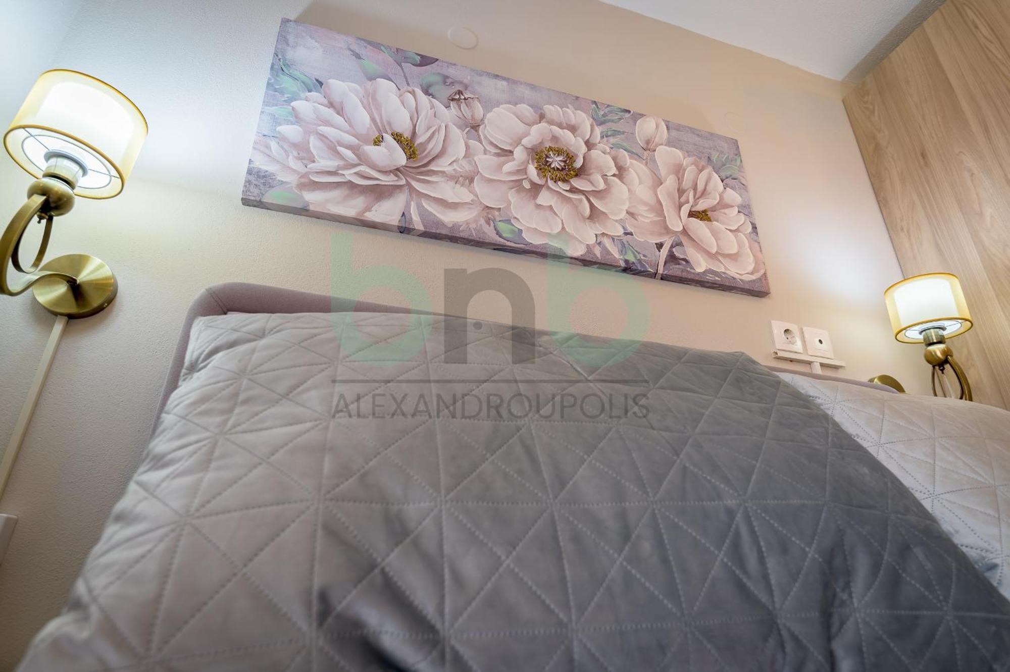 Anastasia'S Comfort Studio Dedeağaç Dış mekan fotoğraf